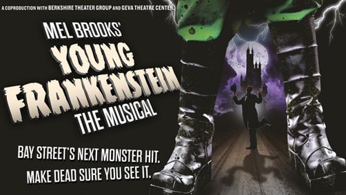 Mel Brooks' Young Frankenstein show poster
