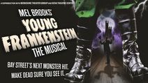 Mel Brooks' Young Frankenstein