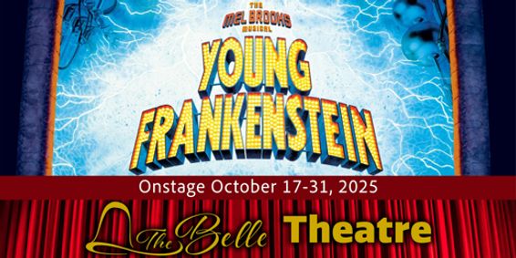 Young Frankenstein show poster