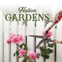 Native Gardens