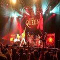 Absolute Queen in Sarasota