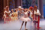 The Sleeping Beauty: International Ballet Stars in St Petersburg, FL! in Jacksonville