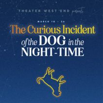 The Curious Incident of the Dog in the Night-time