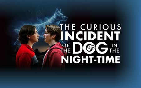 The Curious Incident of The Dog In The Night-Time show poster