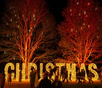 Light Up Sir Harold Hillier Gardens At Christmas show poster