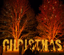 Light Up Sir Harold Hillier Gardens At Christmas 