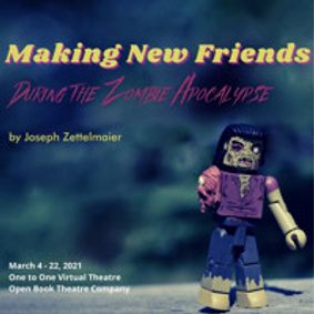 Making New Friends During the Zombie Apocalypse show poster