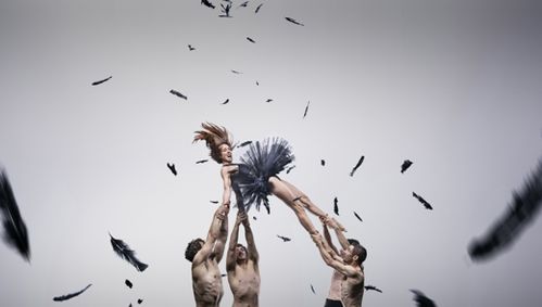 DanceHouse and The Cultch present Circa’s Duck Pond show poster