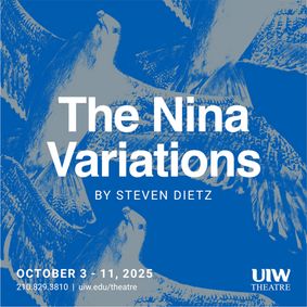 The Nina Variations show poster