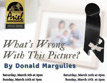 What's Wrong With This Picture? By David Margulies show poster