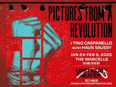 PICTURES FROM A REVOLUTION show poster