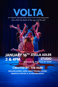 VOLTA show poster