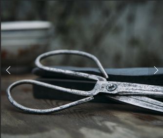 Cut to the Chase show poster