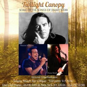 Marcus Simeone & Tracy Stark: Twilight Canopy / Up, Up and Away show poster