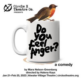 Do You Feel Anger? show poster