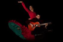 XVIII FUEGO FLAMENCO FESTIVAL: Alejandra