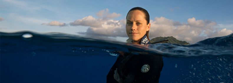 National Geographic Live: The Untold Story of Sharks show poster