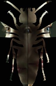 The Wasp show poster