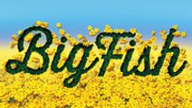BIG FISH Mainstage at Upper Darby Summer Stage