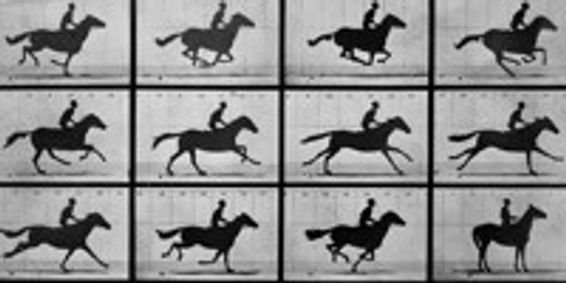 HORSEMANSHIP show poster