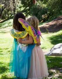 A Faery Hunt Magical Adventure