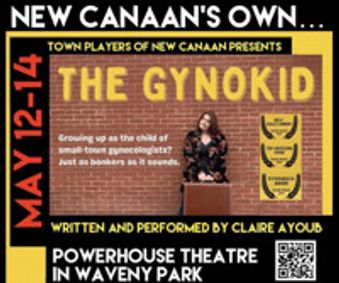 THE GYNOKID by CLAIRE AYOUB show poster