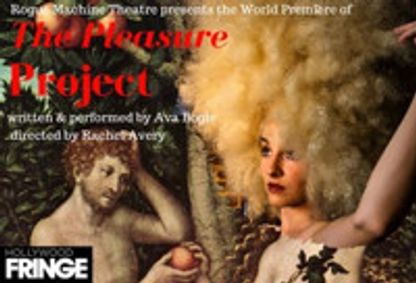 The Pleasure Project show poster