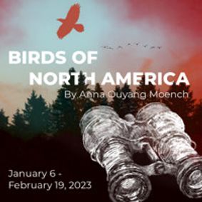 Birds of North America show poster