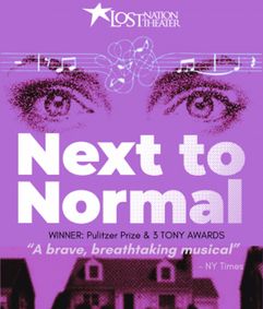 Next to Normal show poster