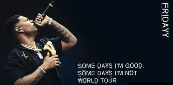 Fridayy – Some Days I'm Good Some Days I'm Not World Tour show poster