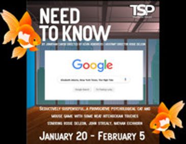 Need to Know by Jonathan Caren show poster