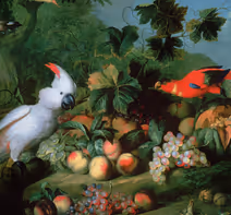 Birds, Frogs, Crickets, & Dogs