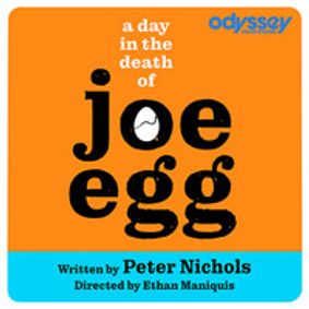 A Day in the Death of Joe Egg show poster
