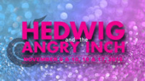Hedwig and the Angry Inch show poster