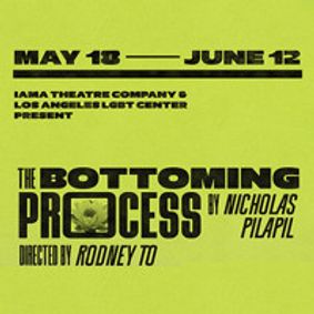 The Bottoming Process show poster