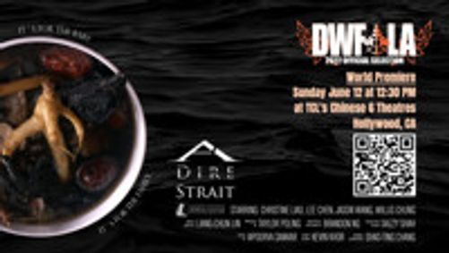 A Dire Striat show poster