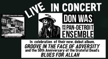 Don Was and the Pan-Detroit Ensemble  January 24, 8pm in St. Louis