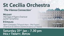Winter Concert - The Vienna Connection On January 31, 2026 in UK Regional