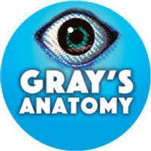 GRAY'S ANATOMY