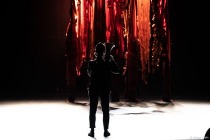 Vástádus eana – The answer is land show poster