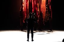 Vástádus eana – The answer is land