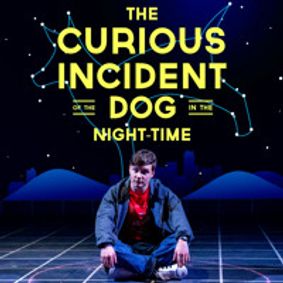 The Curious Incident Of The Dog In The Night-time show poster
