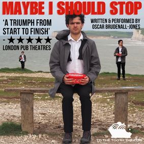 Maybe I Should Stop show poster