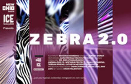 ZEBRA 2.0 show poster