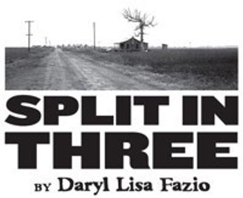 SPLIT IN THREE show poster
