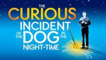 The Curious Incident of the Dog in the Nighttime