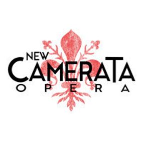 Divide Light show poster