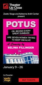 POTUS: Or, Behind Every Great Dumbass Are Seven Women Trying to Keep Him Alive show poster