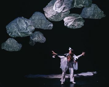 Skydiver show poster