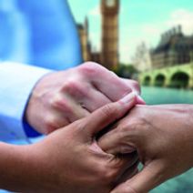 The Pride by Alexi Kaye Campbell